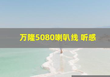 万隆5080喇叭线 听感